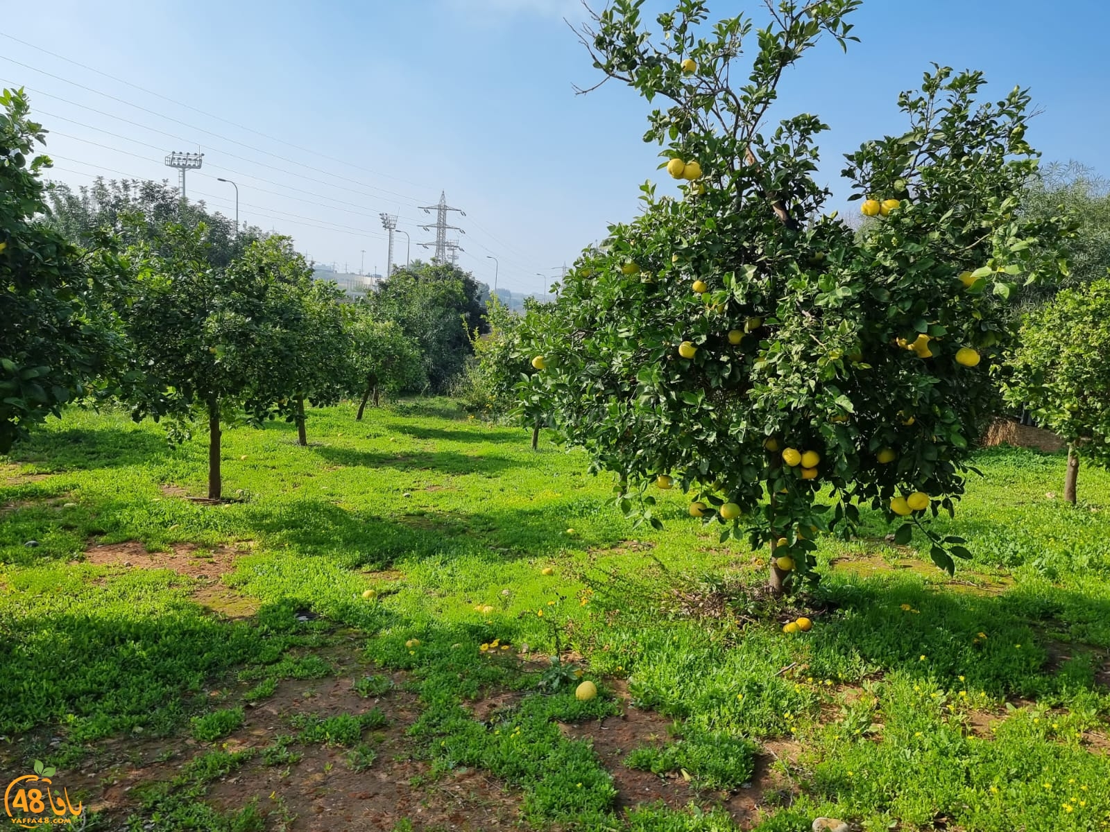 WhatsApp Image 2022-01-08 at 1.29.42 PM (2).jpg